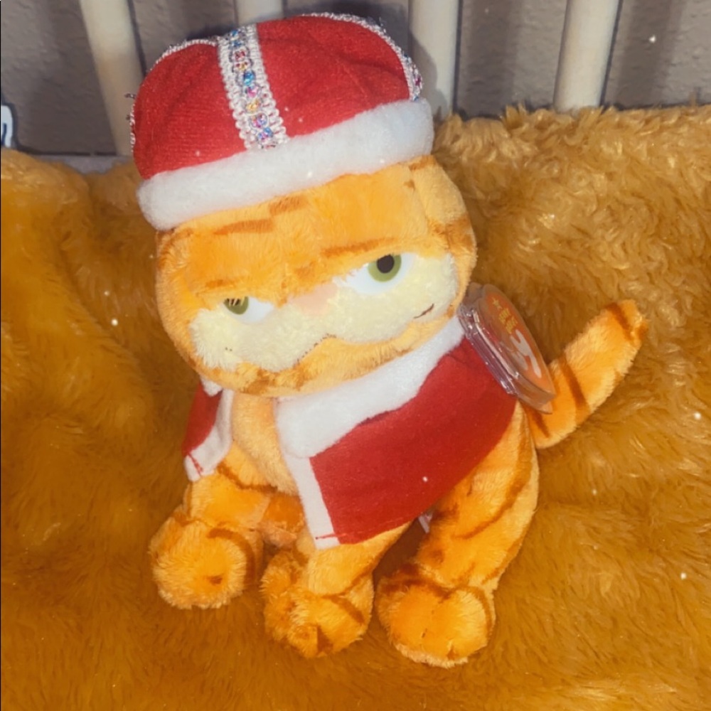 TY Garfield